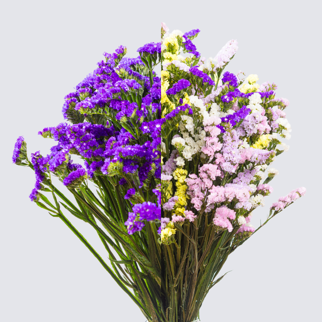 Flores secas