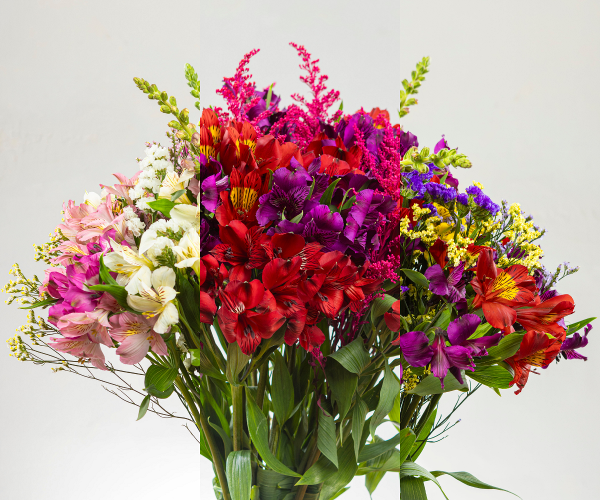 Todas las Flores