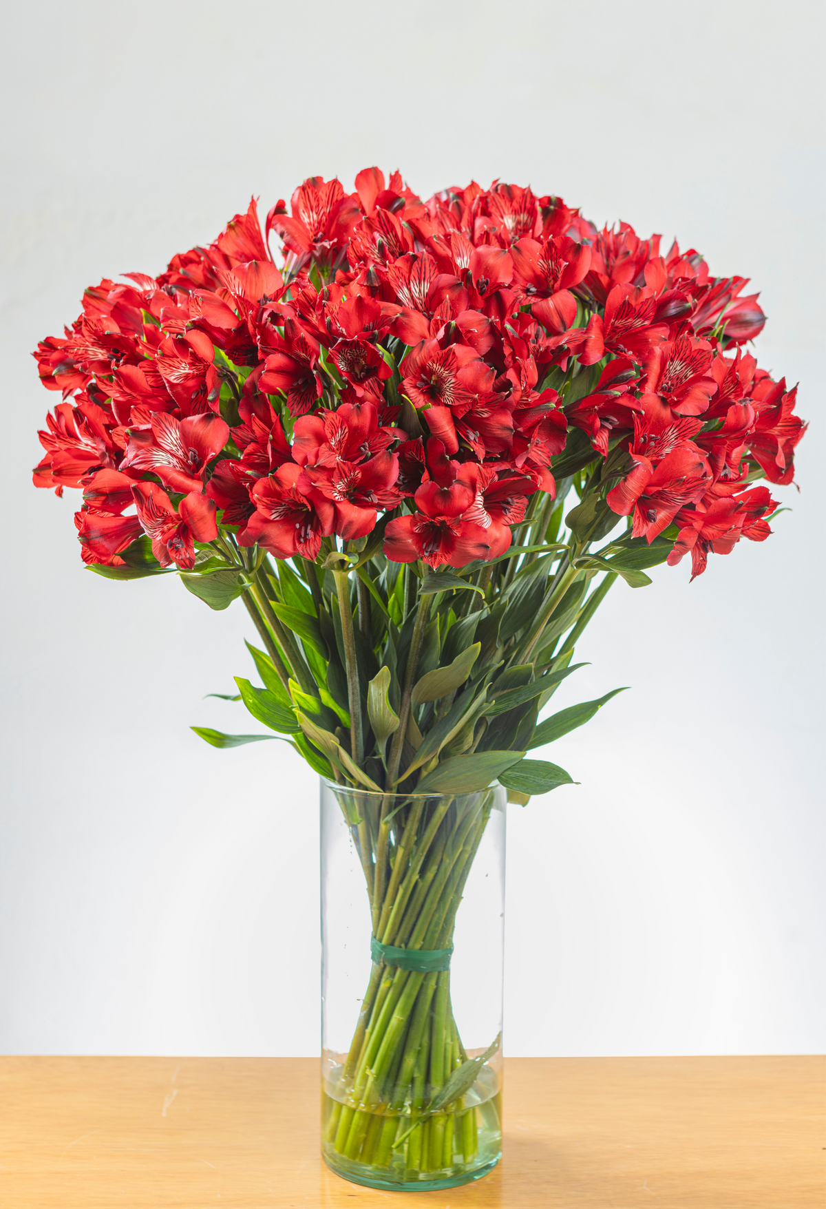 Alstroemeria Roja x 25 tallos.