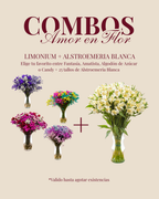 Combo Amor en Flor