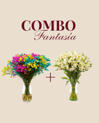 Combo Amor en Flor