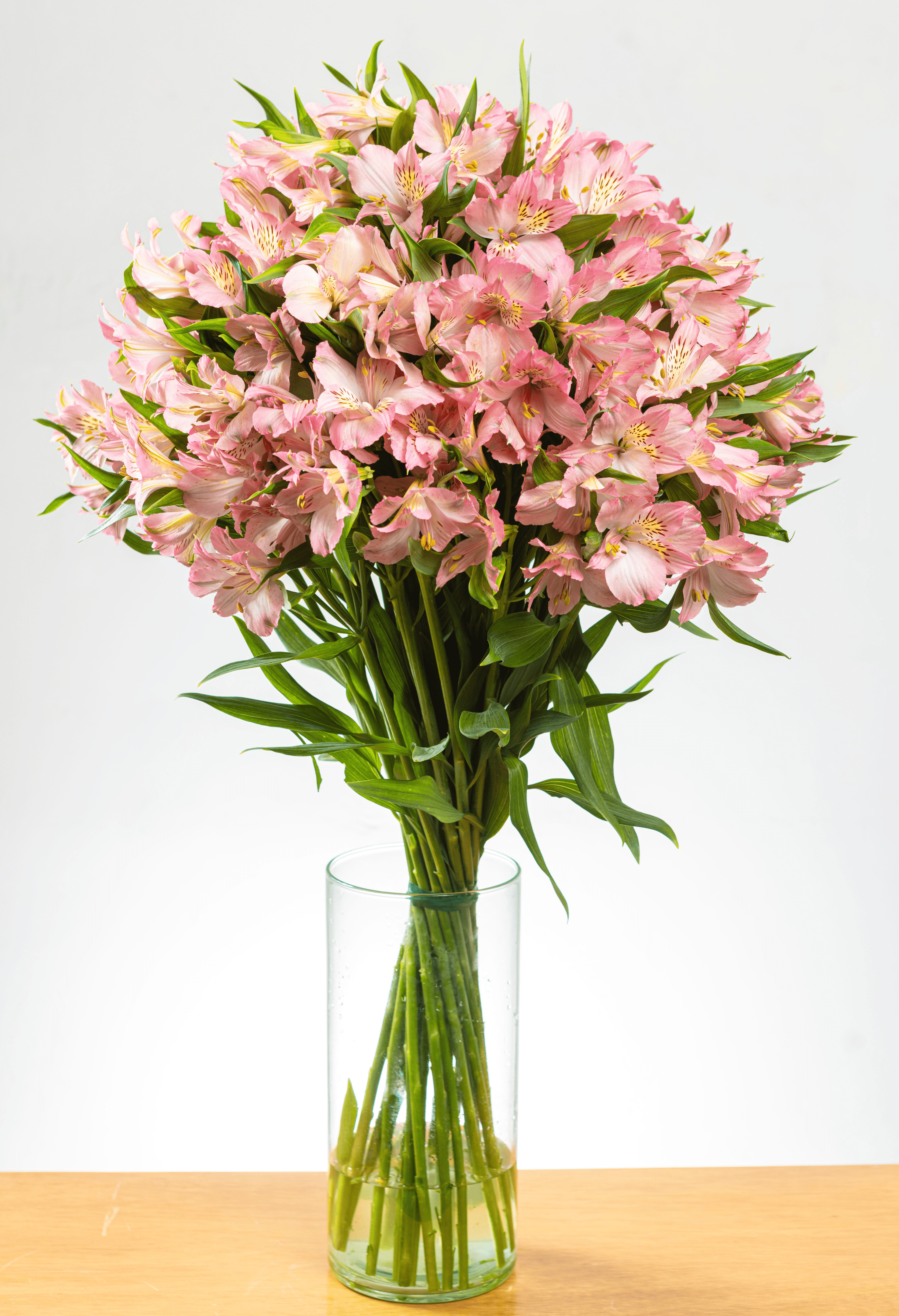 Ramo de Alstroemerias (25 tallos)