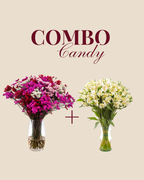 Combo Amor en Flor