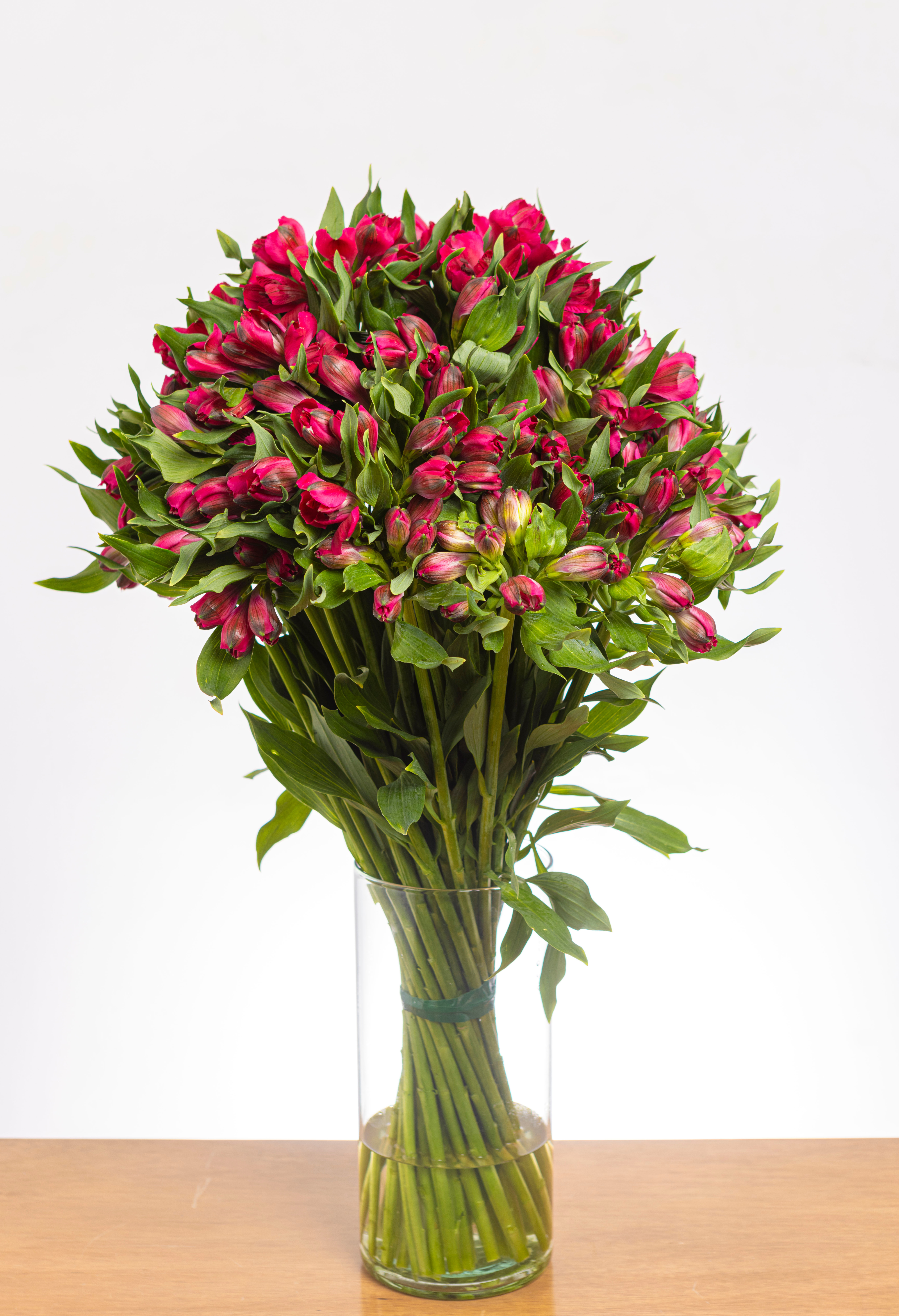 Alstroemeria Rosado Intenso x 25 tallos,