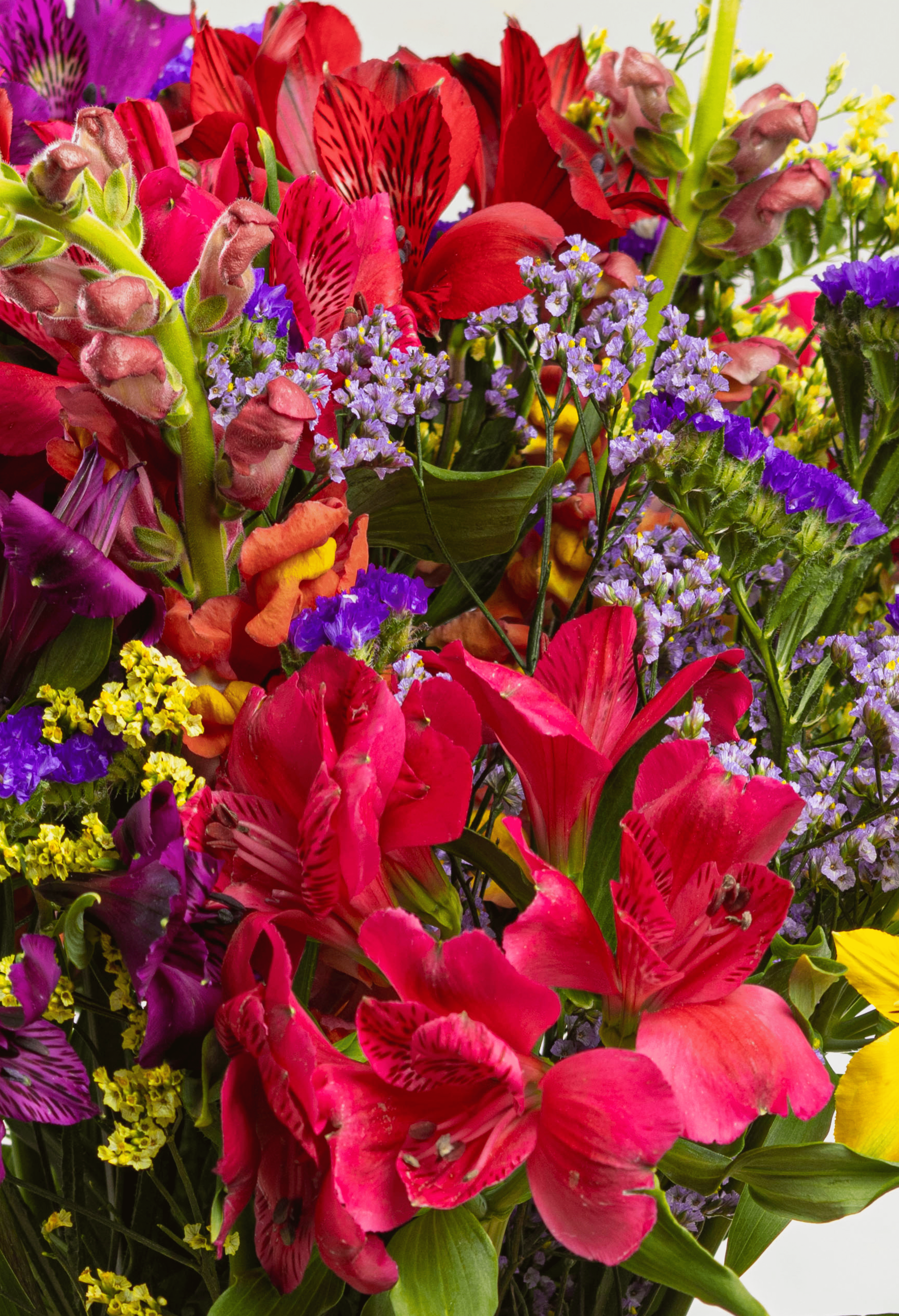 Bouquet de Verano Colores Vivos x 25 tallos.