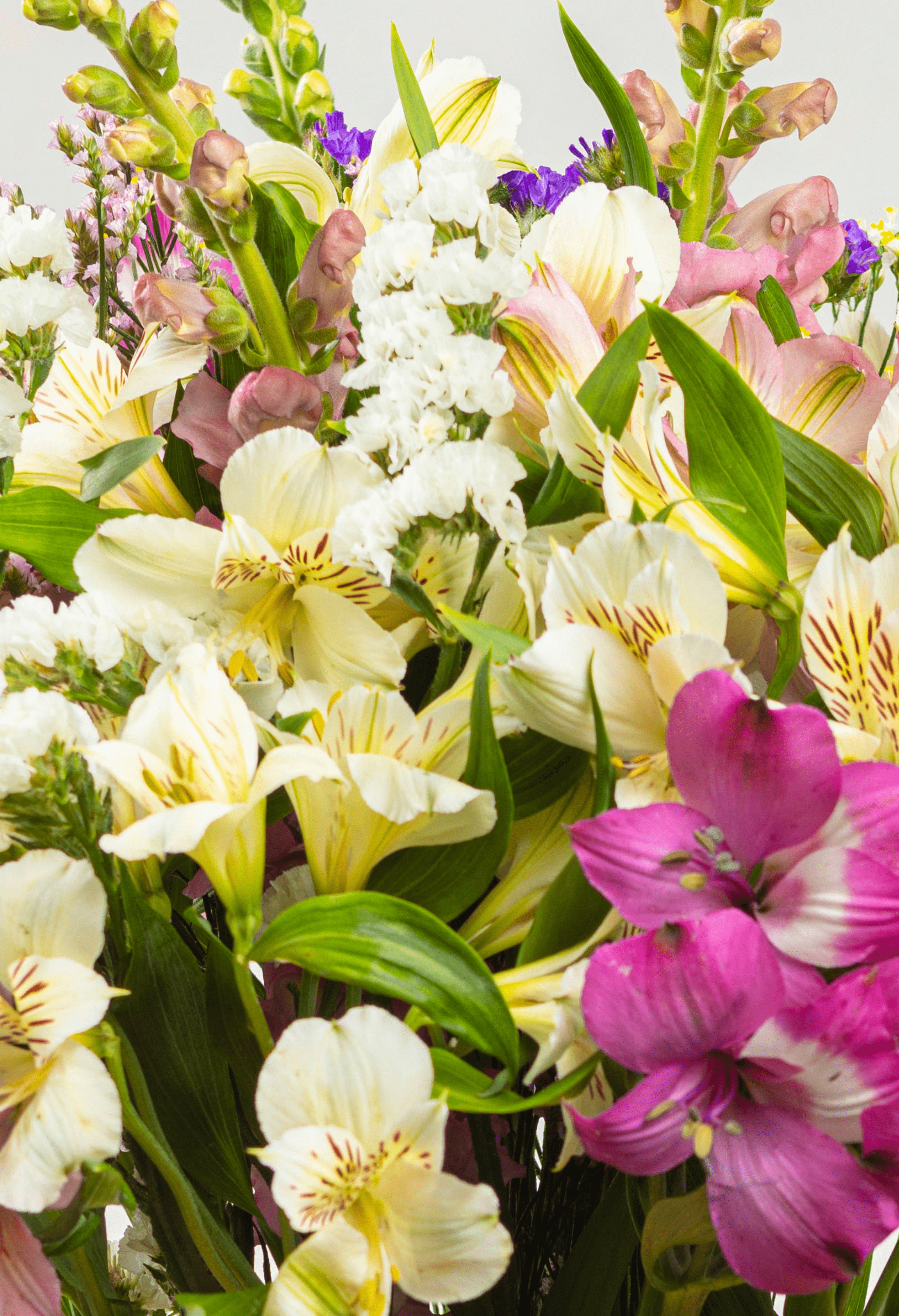 Bouquet de Verano Colores Pasteles x 25 tallos.