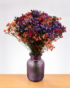 Ramo De Limonium x 25 Tallos
