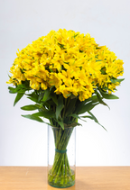 Ramo de Alstroemerias (25 tallos)