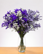 Ramo De Limonium x 25 Tallos