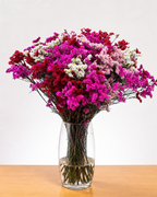 Ramo De Limonium x 25 Tallos