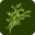 Flores de la Plazoleta logo