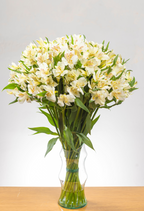 Ramo de Alstroemerias (25 tallos)