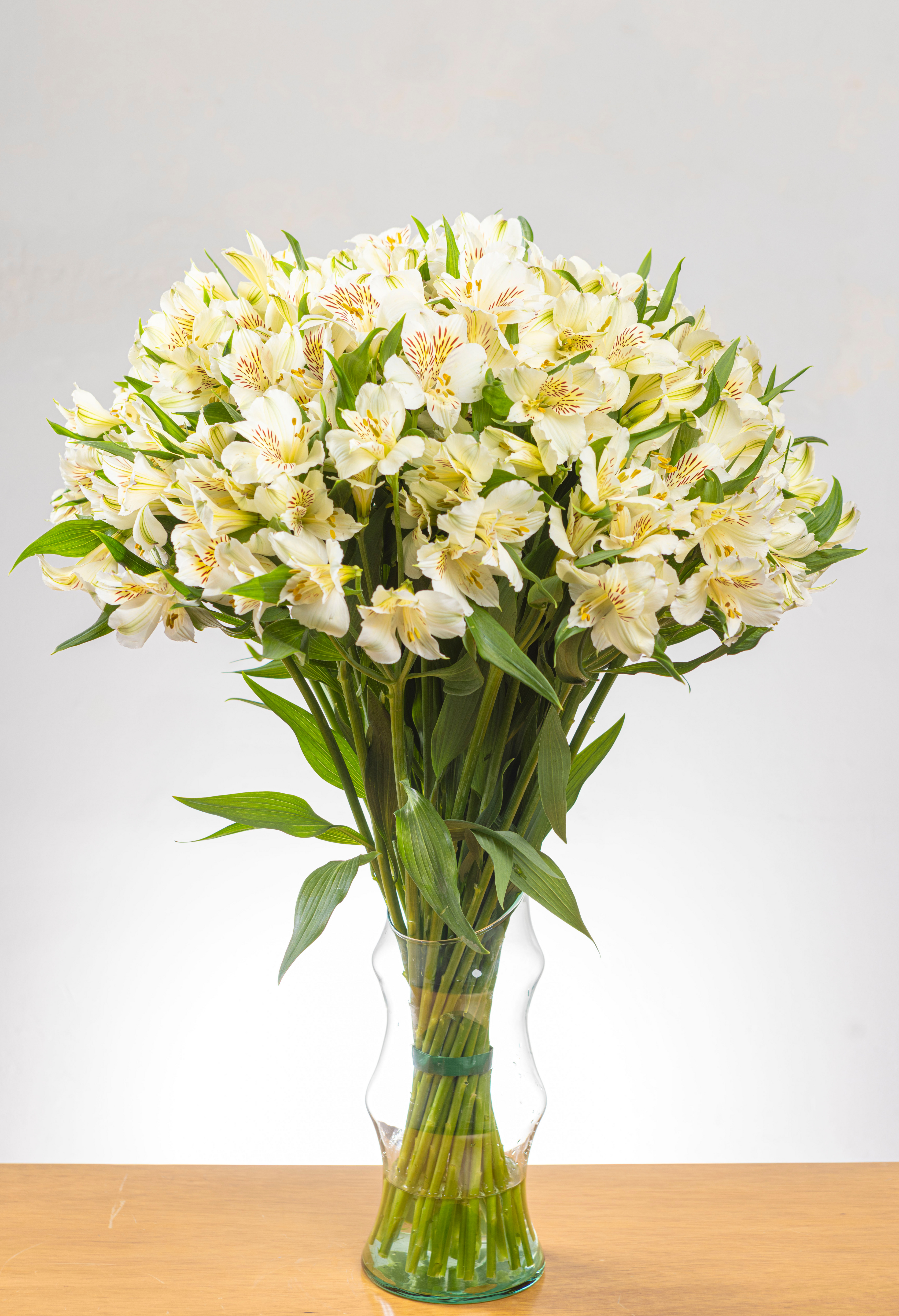 Ramo de Alstroemerias (25 tallos)