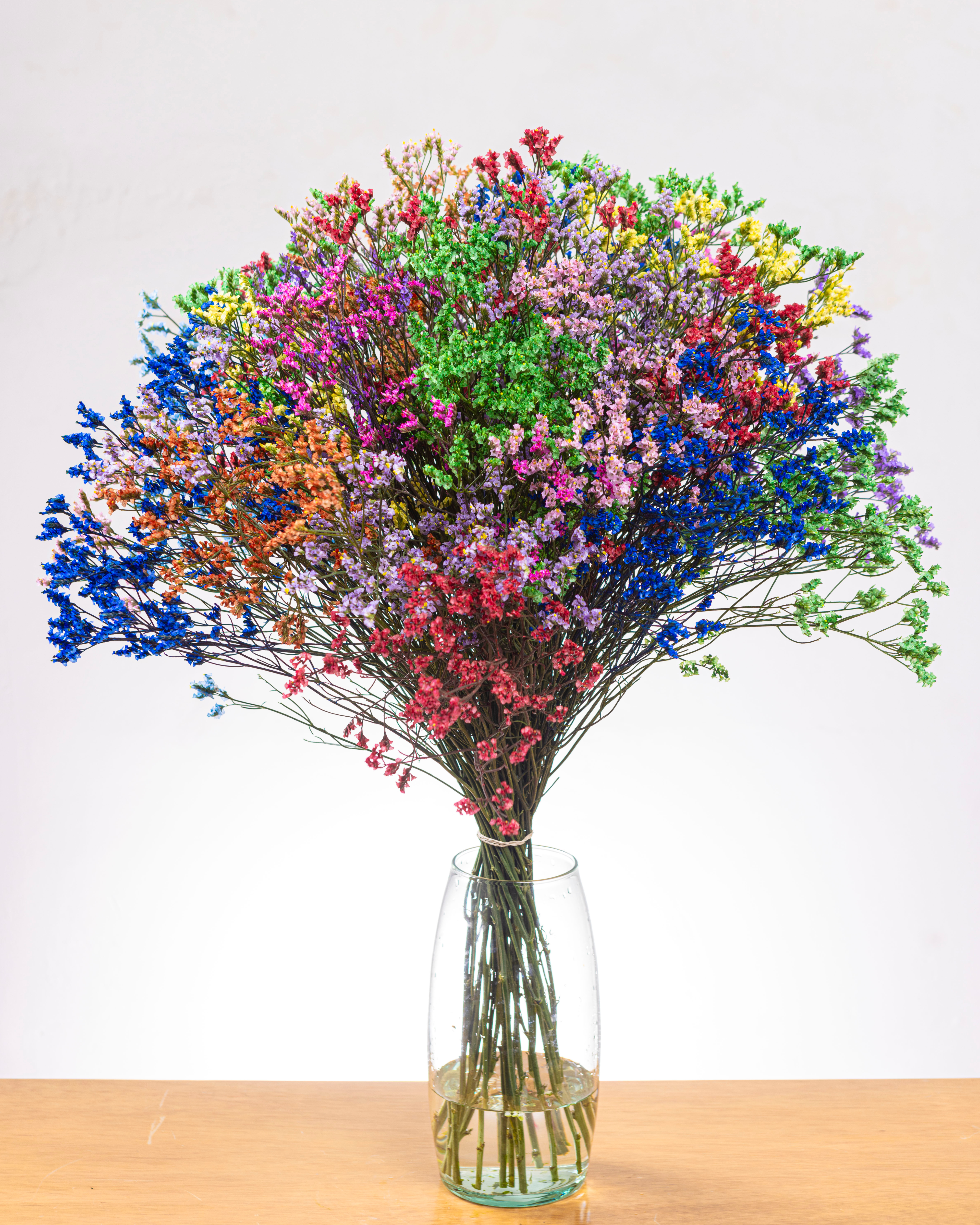 Limonium Colores Vivos x 25 tallos.