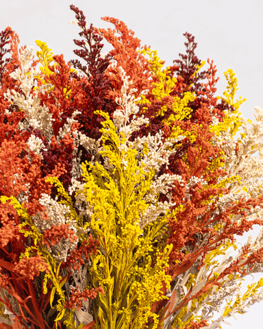 Solidago Ocaso x 25 tallos.