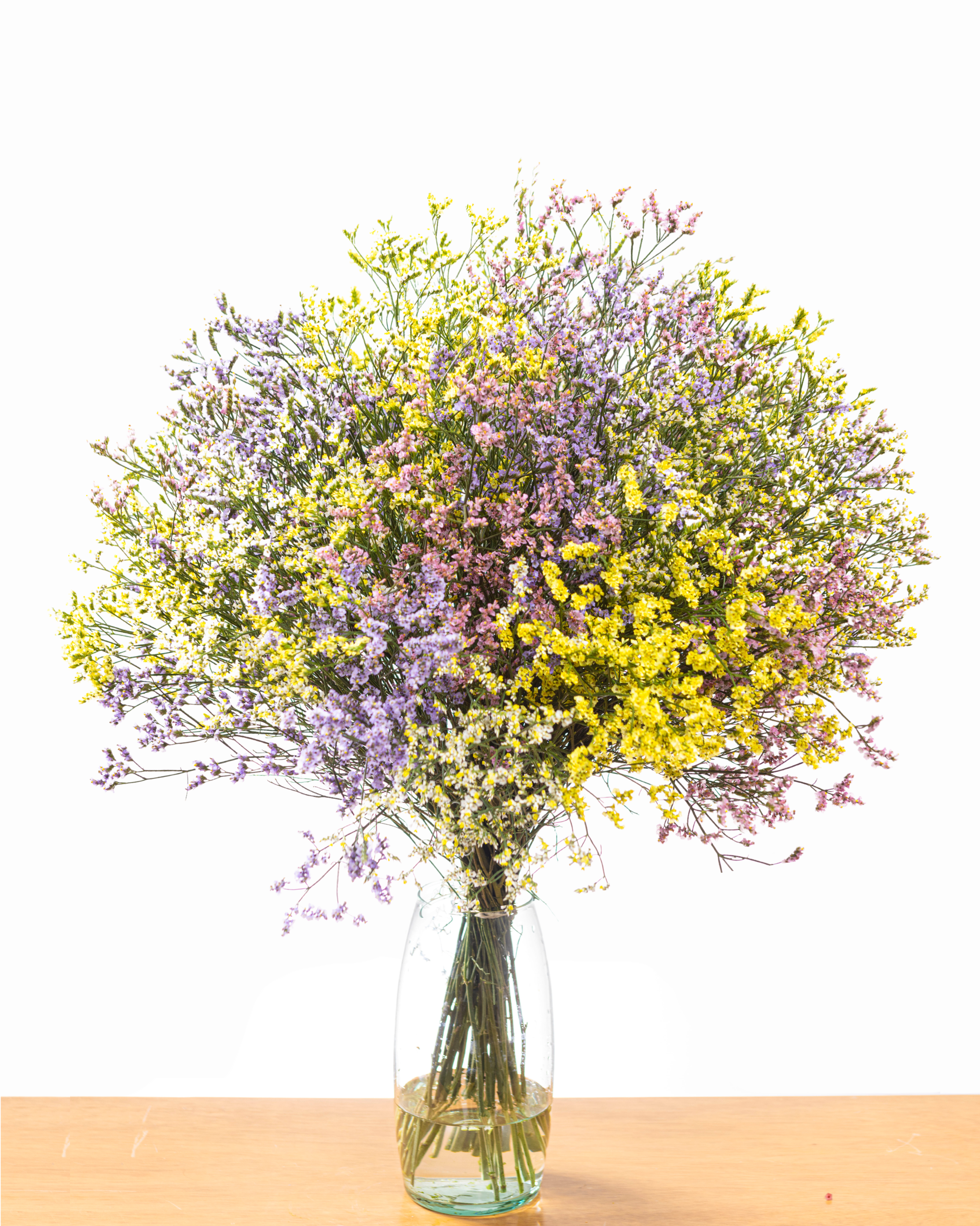 Limonium Colores Pasteles x 25 tallos.