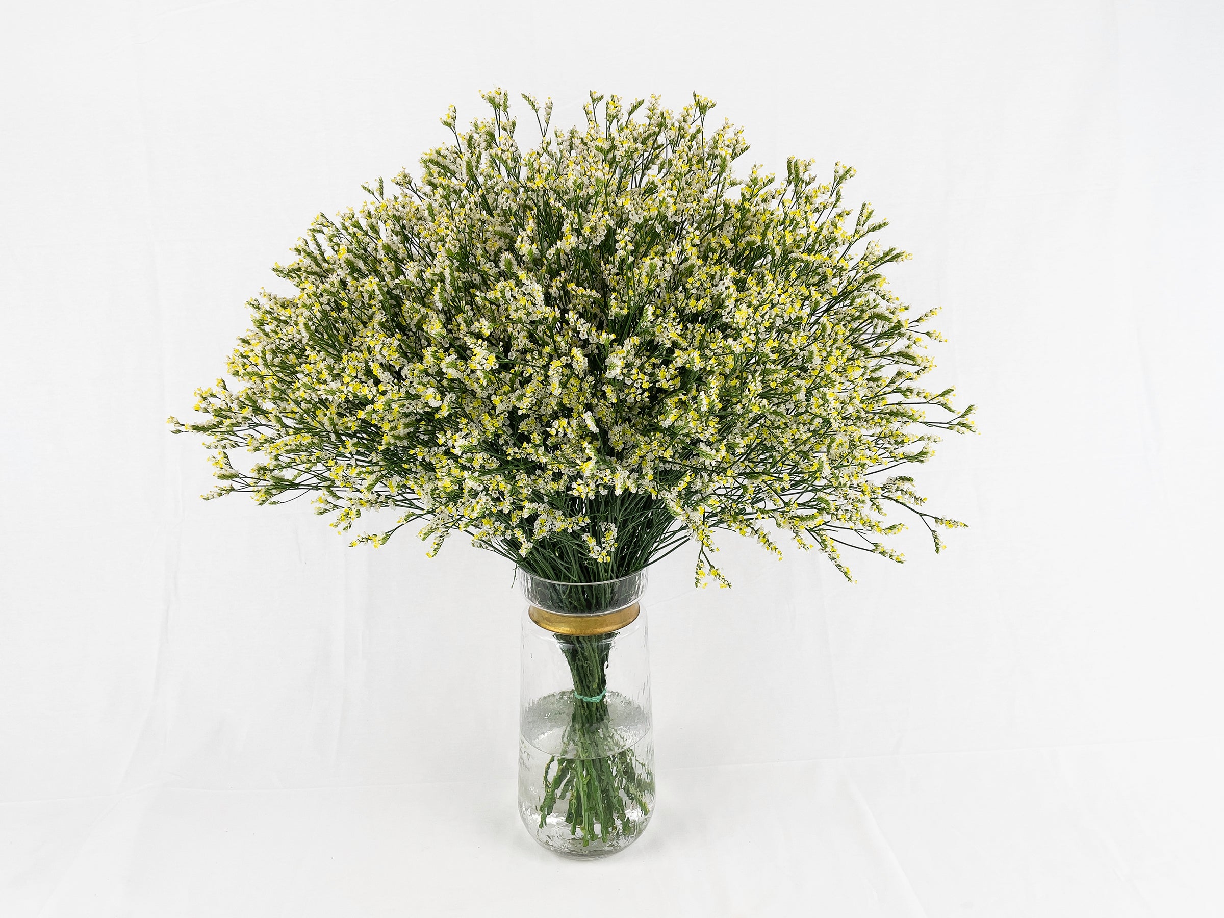 Ramo De Limonium Blanco (25 Tallos)