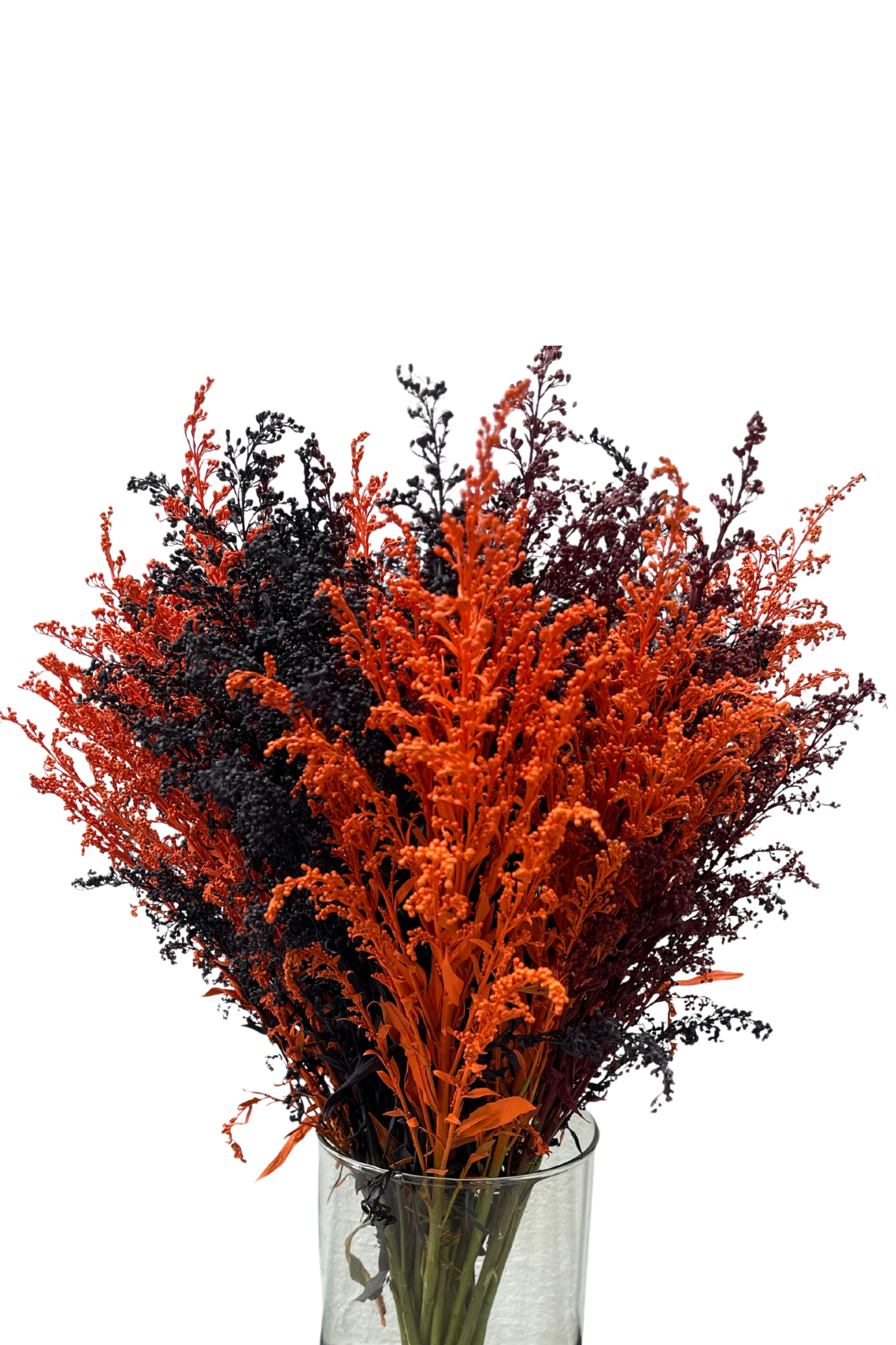 Solidago Magia x 25 Tallos