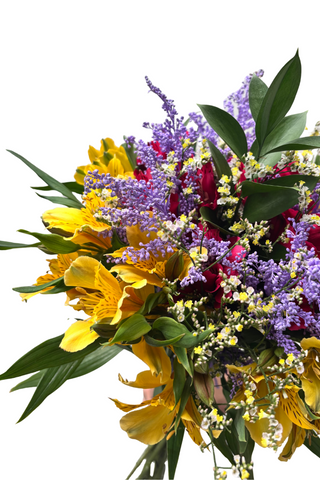 Bouquet Aurora x 15 Tallos