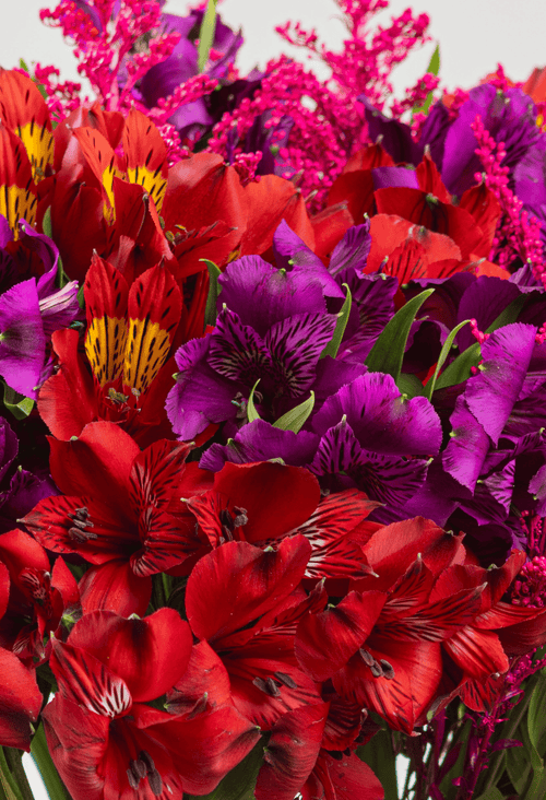 Bouquet Ámbar x 25 tallos. - FLORES DE LA PLAZOLETA