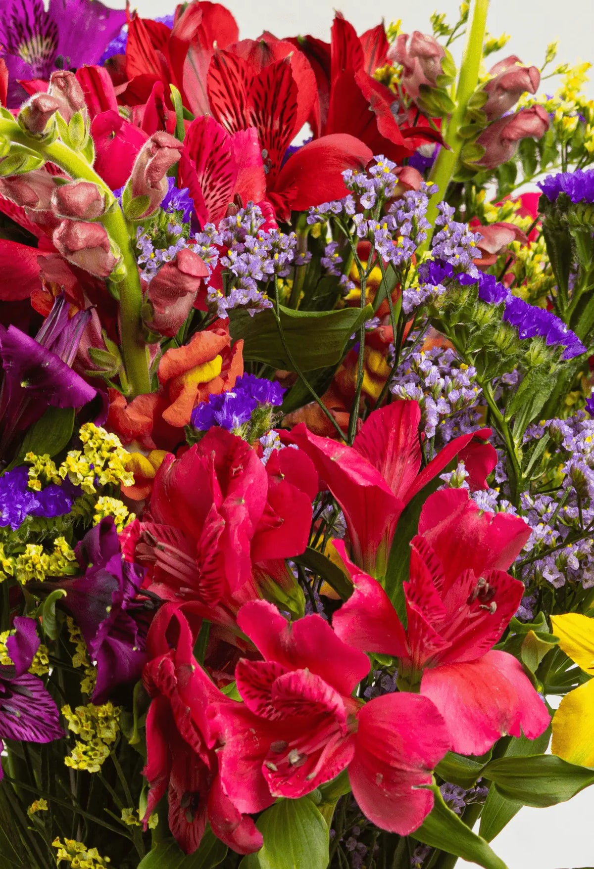 Suscripción Bouquet Colores Vivos