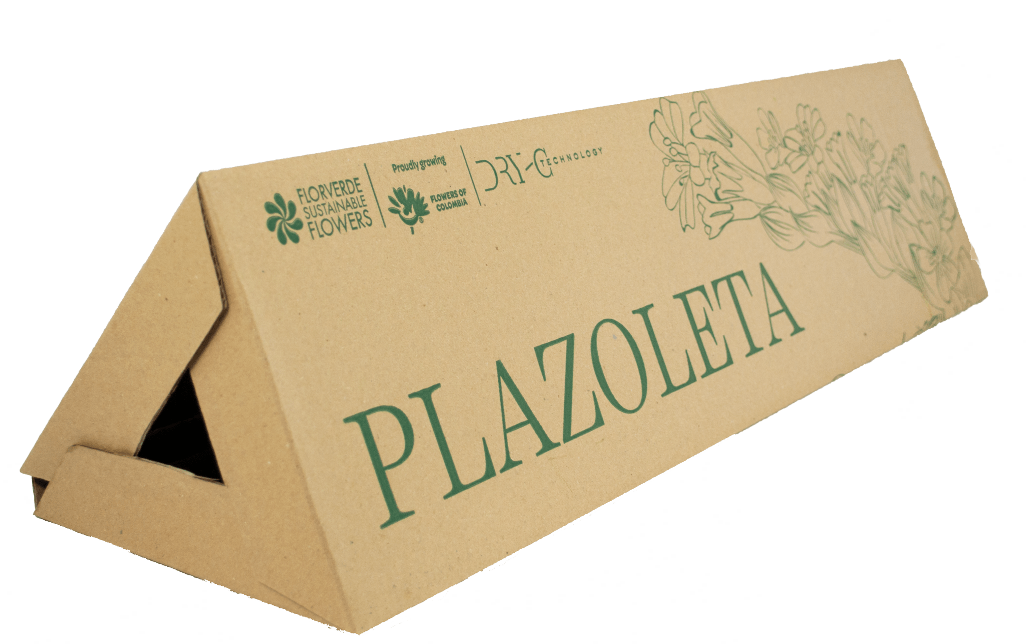 Bouquet Romeo x 25 tallos. - FLORES DE LA PLAZOLETA