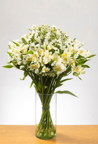 Bouquet Sentimiento x 25 tallos. - FLORES DE LA PLAZOLETA