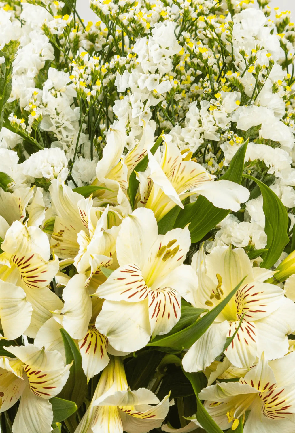 Bouquet Sentimiento