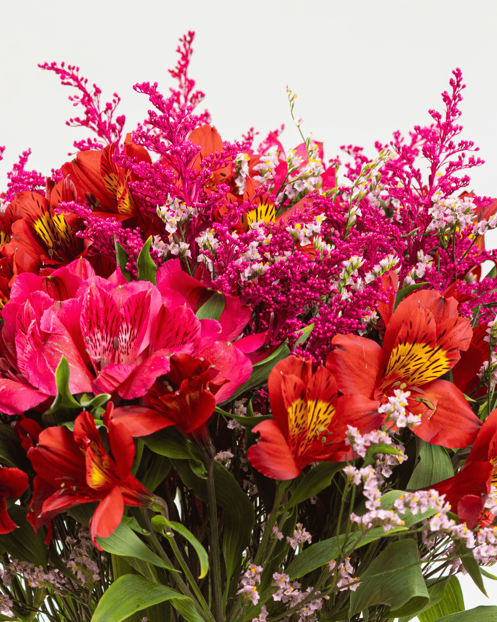 Bouquet Simona x 25 tallos. - FLORES DE LA PLAZOLETA