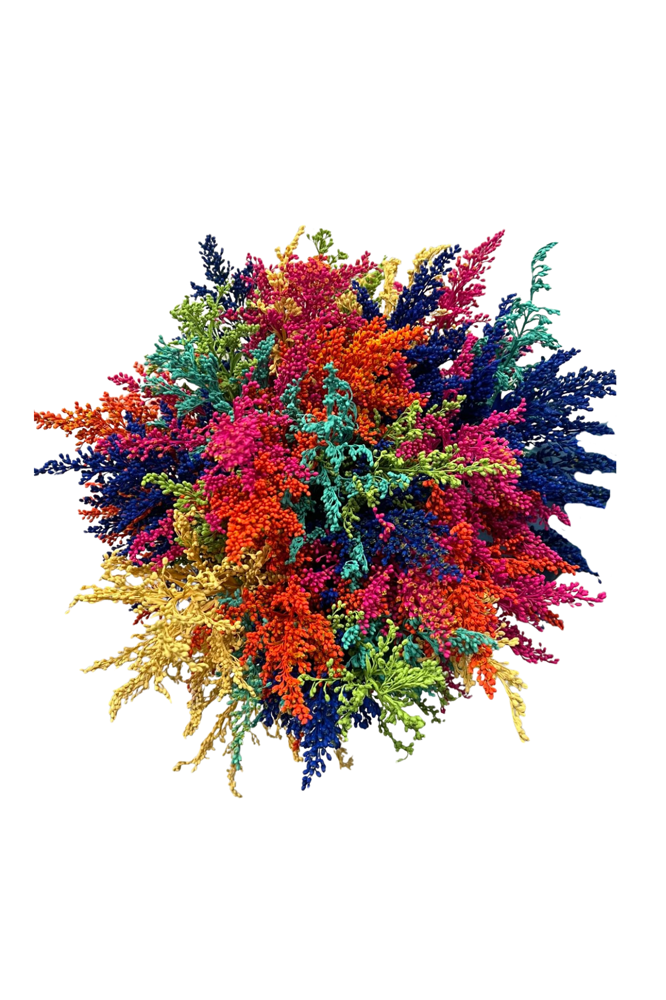 Ramo De Solidago (25 Tallos)