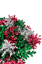 Bouquet Encanto Navideño x 25 tallos