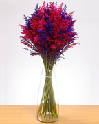 Ramo De Solidago (25 Tallos) - FLORES DE LA PLAZOLETA