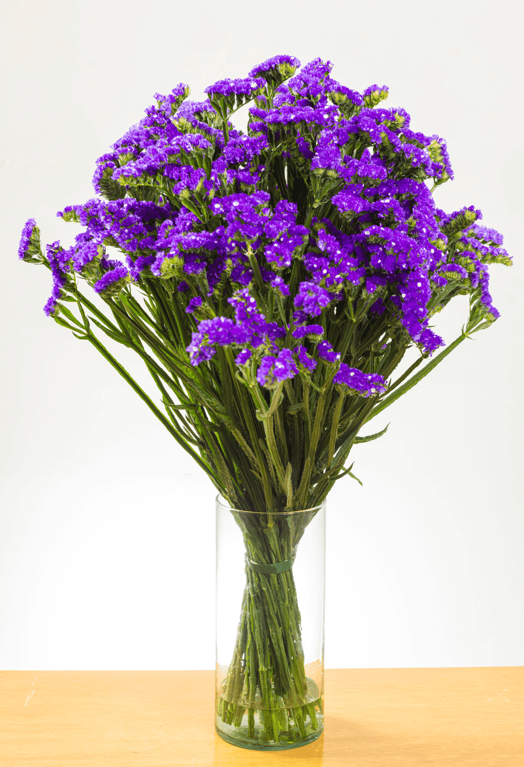 Ramo de Statice (25 tallos) - FLORES DE LA PLAZOLETA
