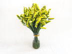 Ramo de Statice (25 tallos) - FLORES DE LA PLAZOLETA