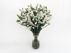 Ramo de Statice (25 tallos) - FLORES DE LA PLAZOLETA