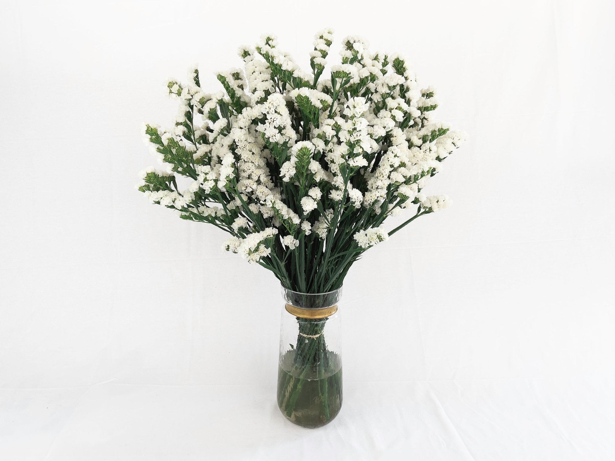 Ramo de Statice (25 tallos) - FLORES DE LA PLAZOLETA