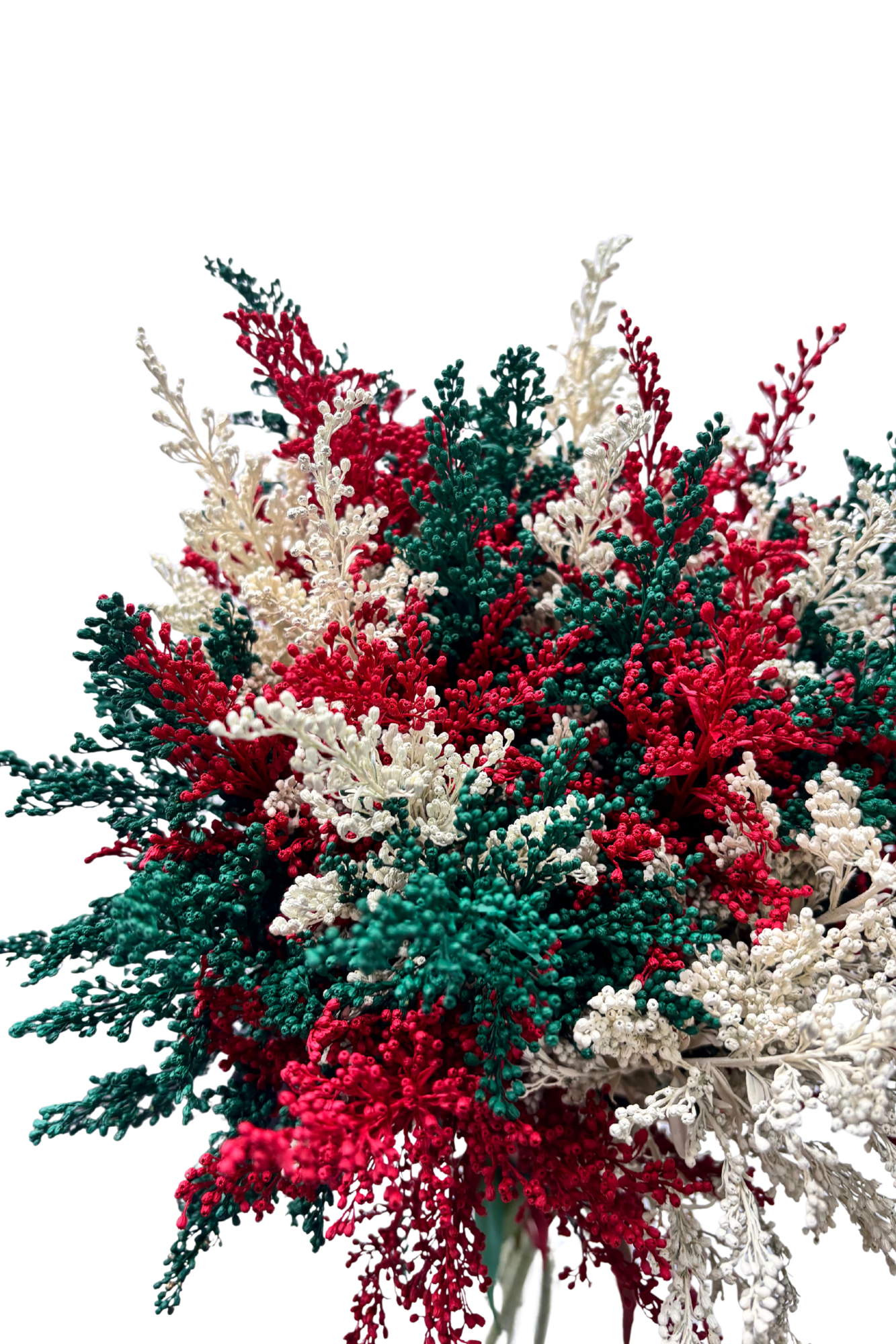 Ramo De Solidago (25 Tallos)