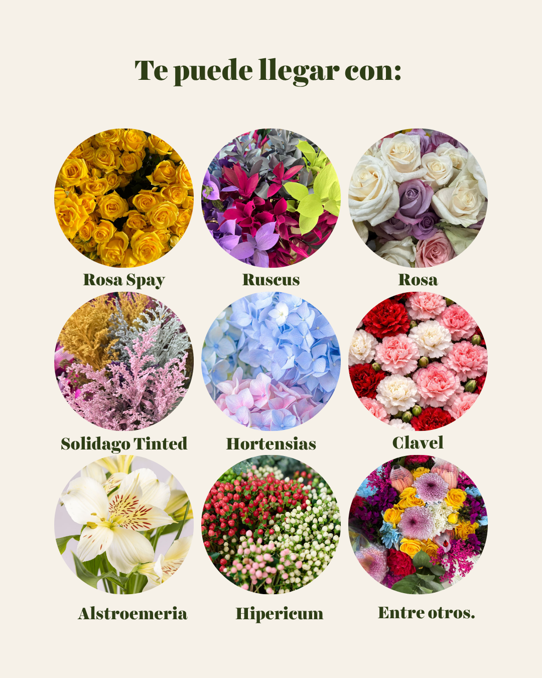 Bouquet Sorpresa