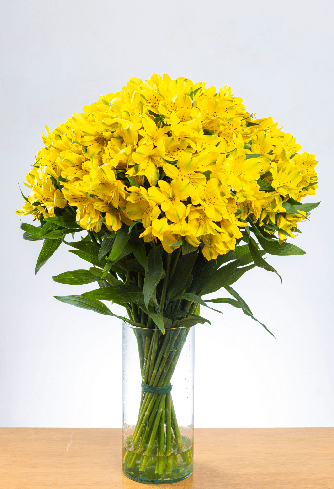 Suscripción Mensual - FLORES DE LA PLAZOLETA