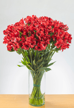 Suscripción Mensual - FLORES DE LA PLAZOLETA