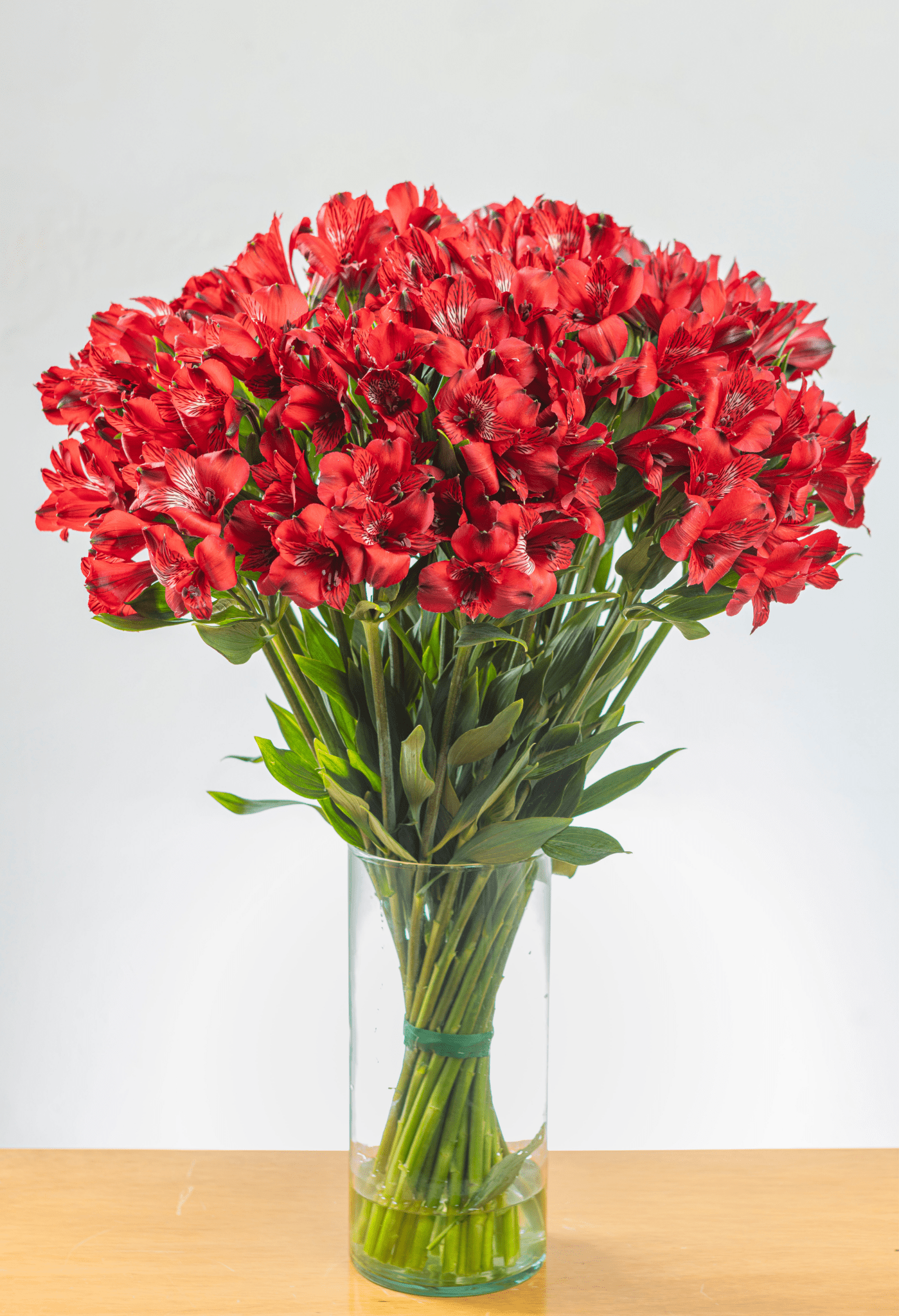 Suscripción Mensual - FLORES DE LA PLAZOLETA