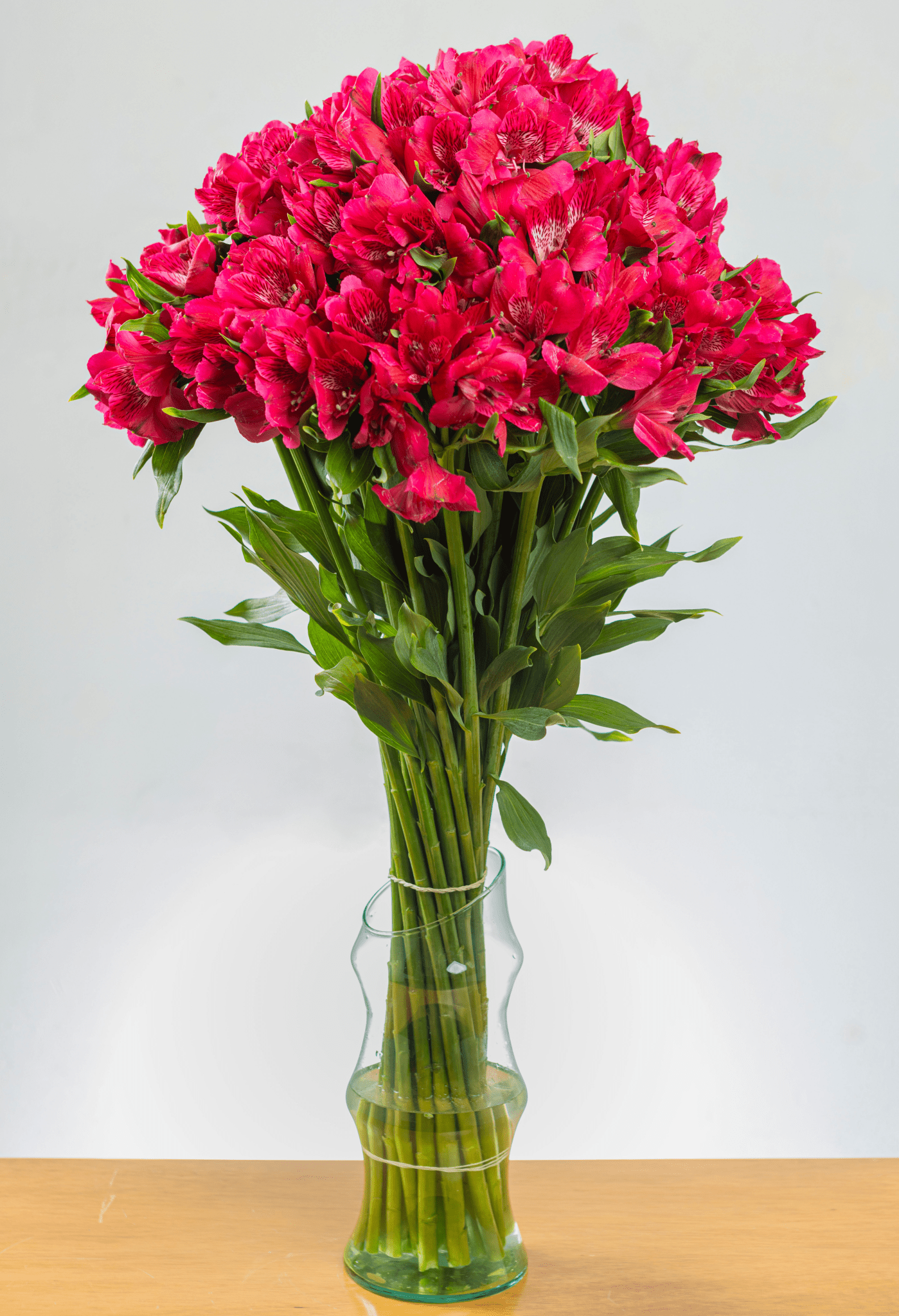 Suscripción Mensual - FLORES DE LA PLAZOLETA