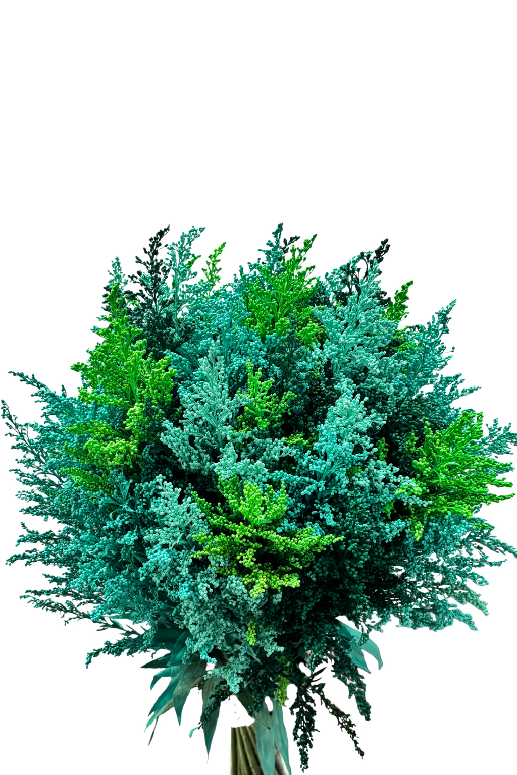 Ramo De Solidago (25 Tallos)